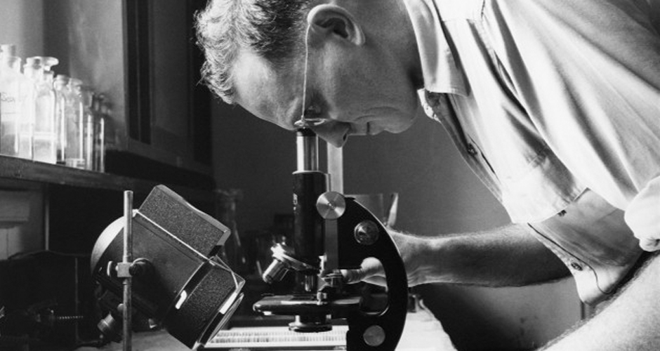 cGMP Particle Size Analysis page image